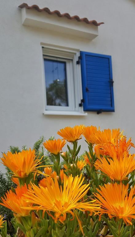 Beach House Adriana Lun  Dış mekan fotoğraf